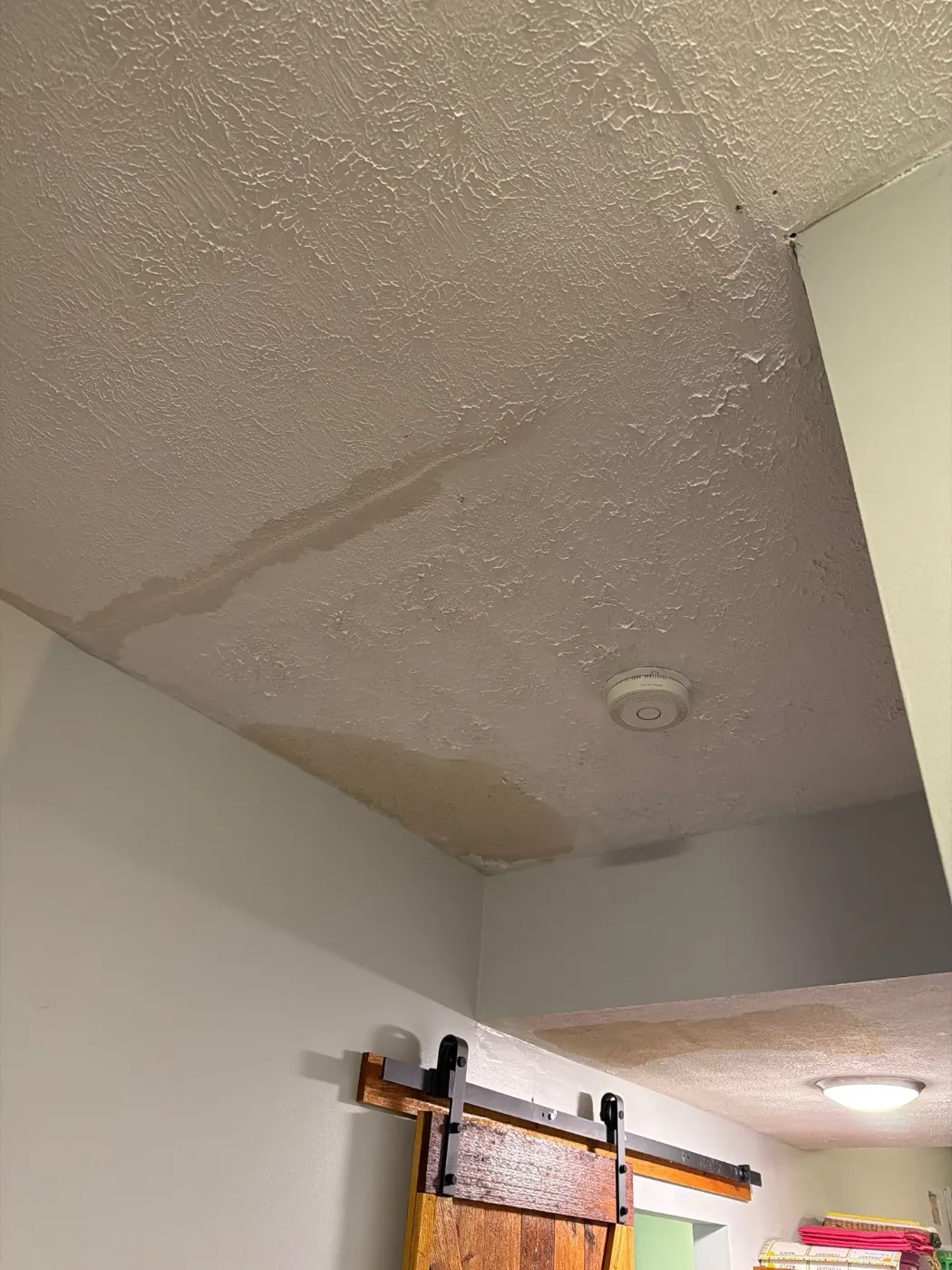 Thermal imaging during water damage assessment in Rocky Ripple residence